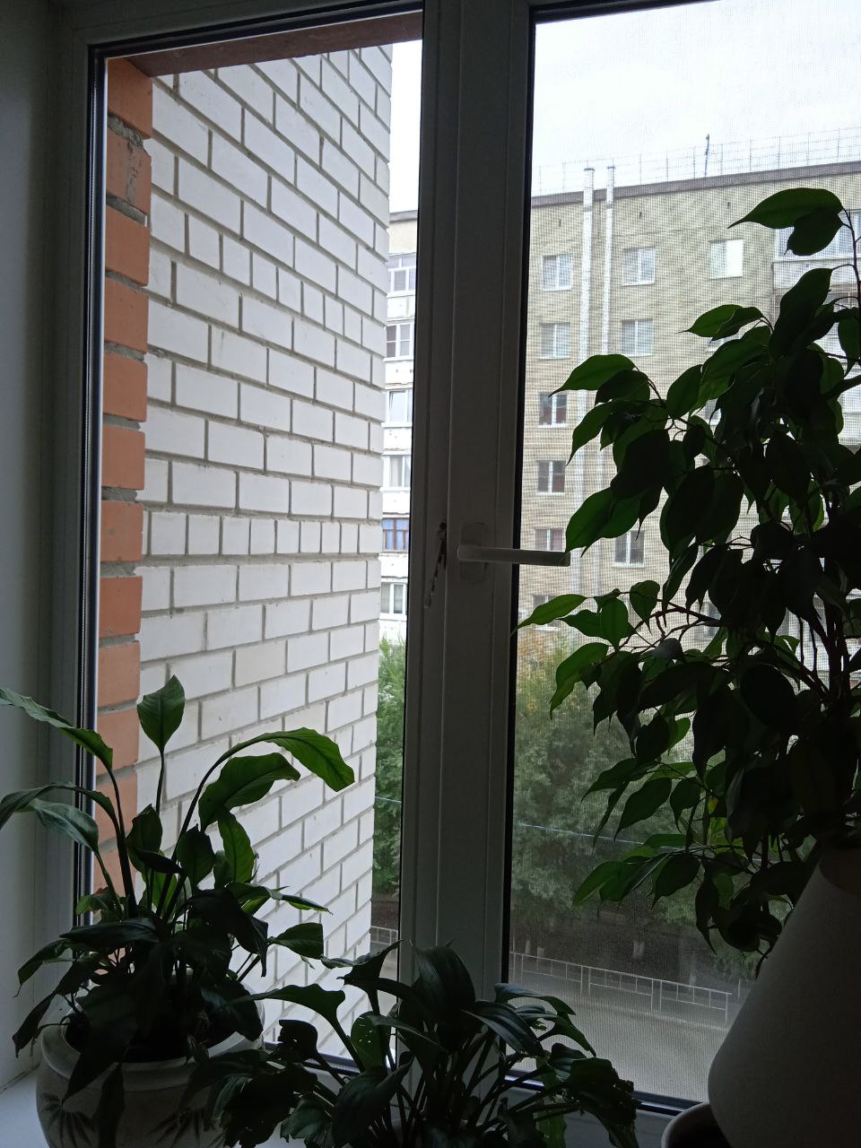 https://seversk.delaem-okna.ru/storage/app/uploads/public/63f/332/8c0/63f3328c0408d690824237.jpg
