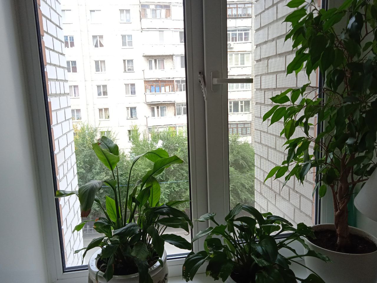 https://seversk.delaem-okna.ru/storage/app/uploads/public/63f/332/8c0/63f3328c0d6f7867060515.jpg
